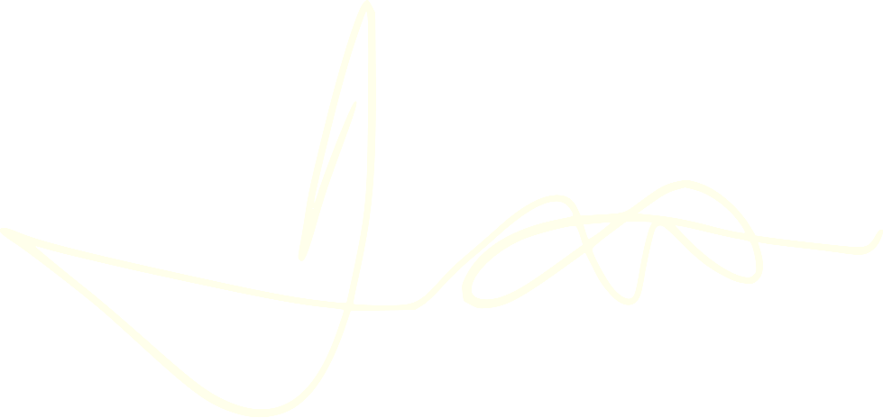 Amir Mirza signature